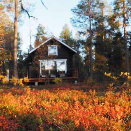 Lapintintti Eco-Cabin In Инари Екстериор снимка