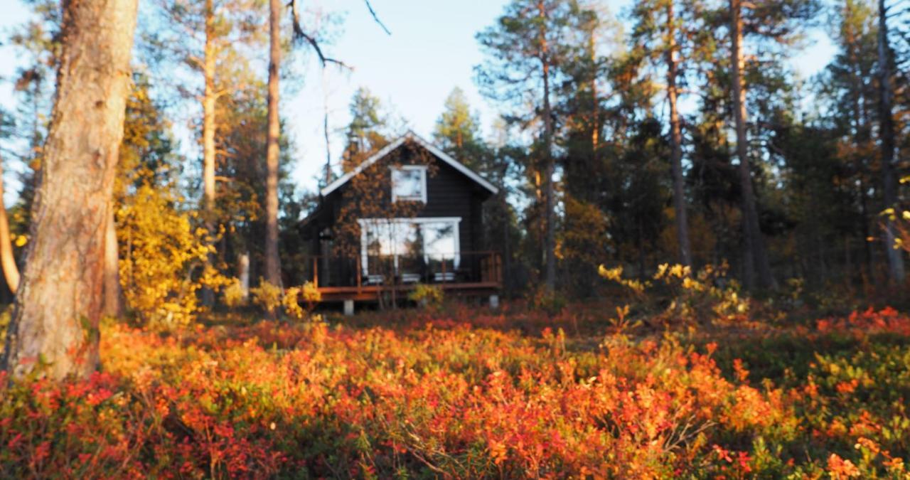 Lapintintti Eco-Cabin In Инари Екстериор снимка